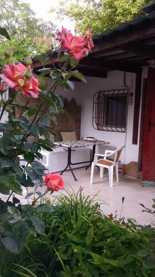 Студия С Двориком В Отраде Odessa Exterior foto